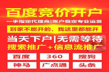 某电商平台的SEM服务全解析
